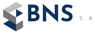 logo gris bns